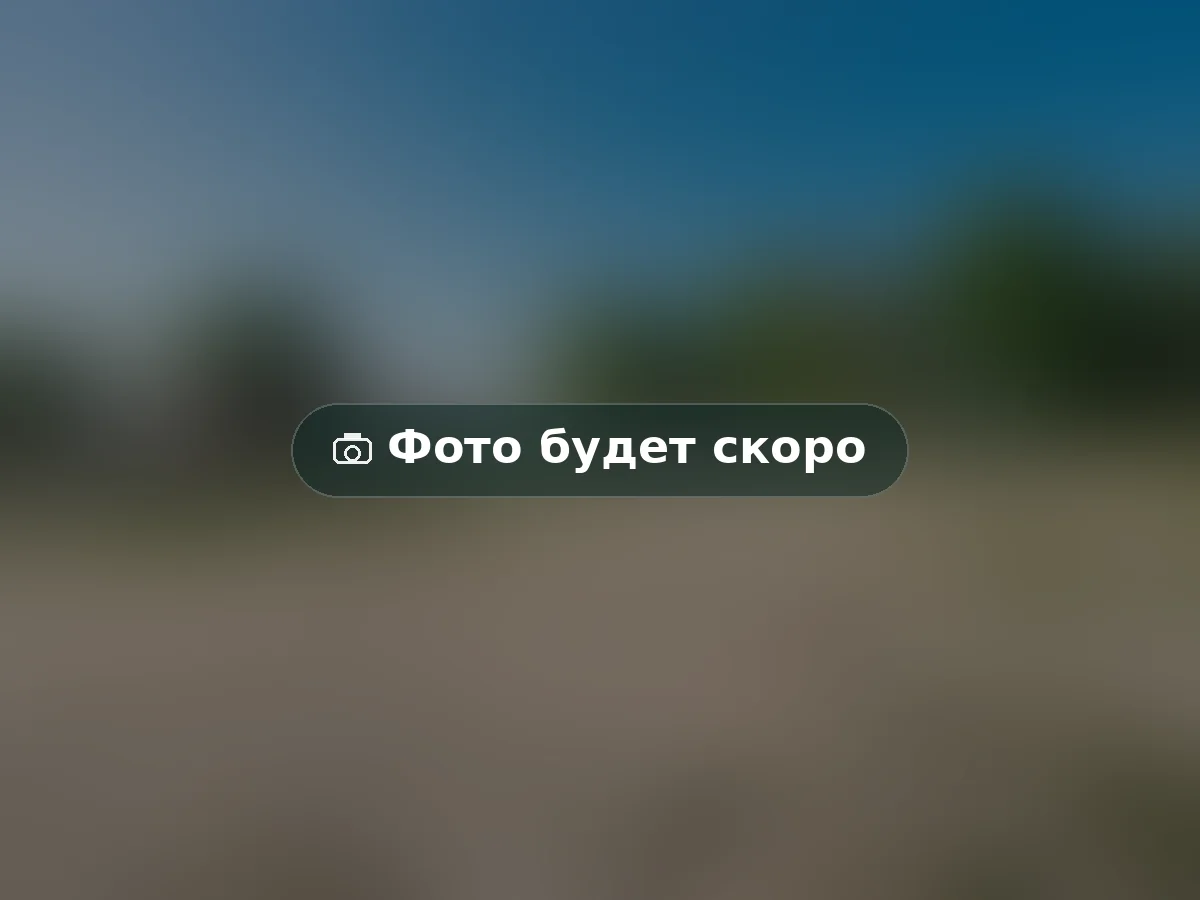 Мангальная зона