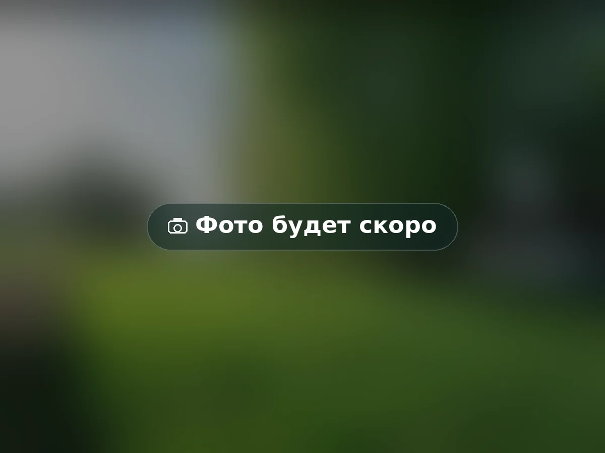 Мангальная зона